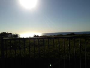 559703_10151258551636717_76576147_n